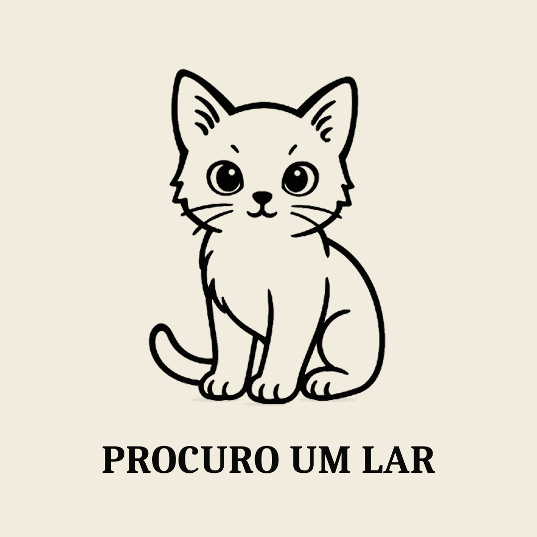 Procuro Um Lar